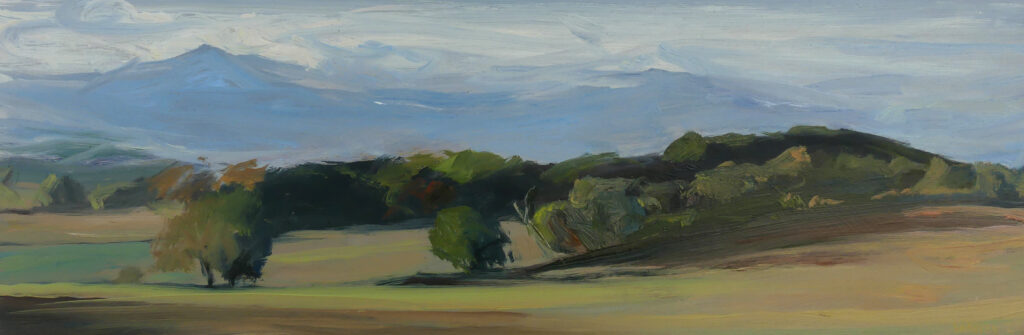 Paysage coloré, exposé au Grand Presbytère, Salle d’exposition Martres Tolosane.